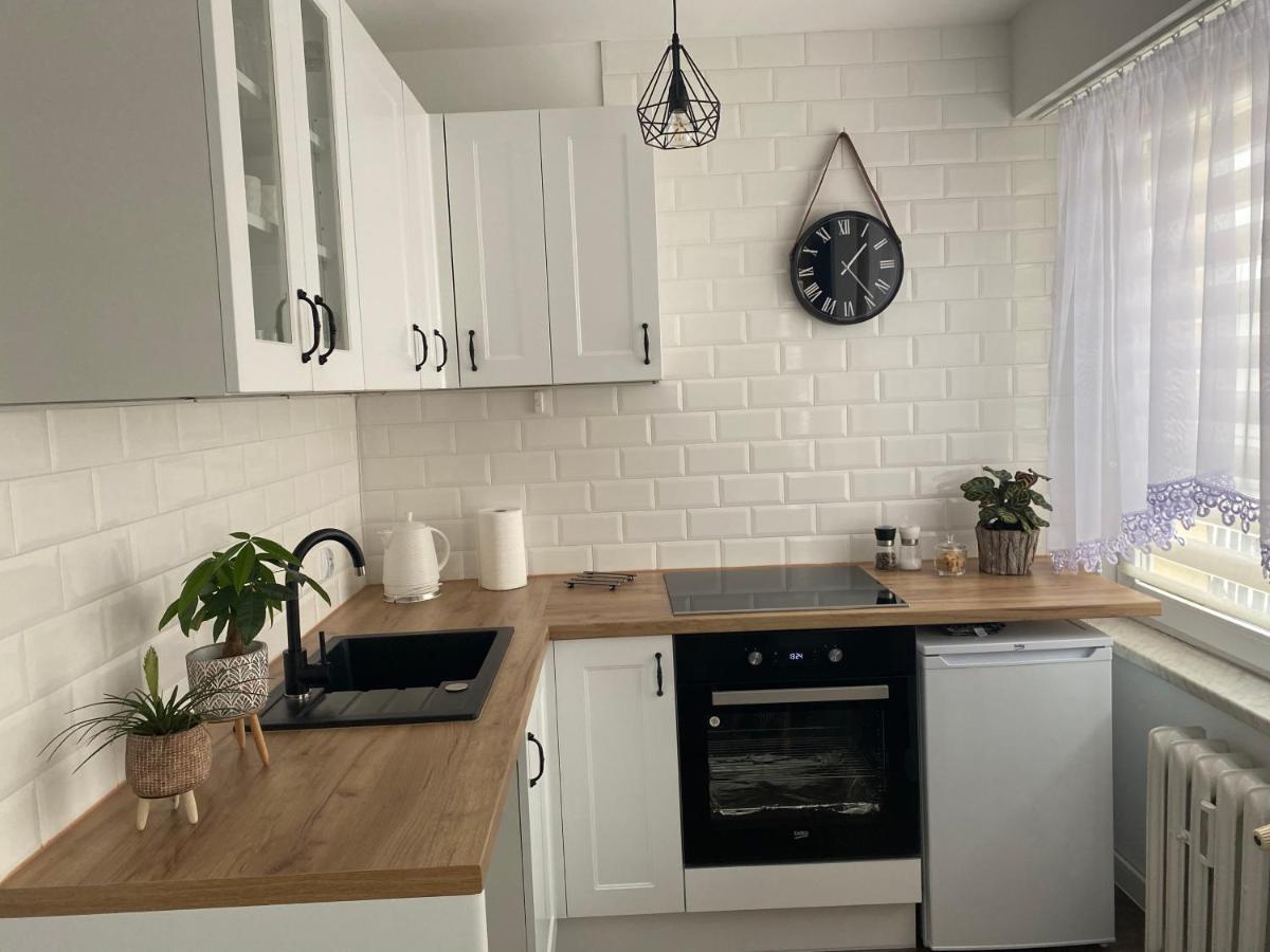 Wilcza Ostoja Bieszczady Apartman Ustrzyki Dolne Kültér fotó